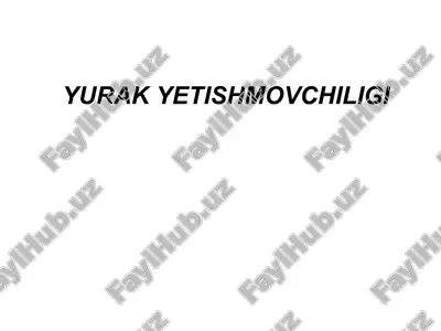 yurak yetishmovchiligi — ZIP