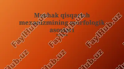 mushak qisqarish mеxanizmining morfologik asoslari — PPTX