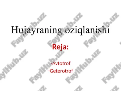 hujayraning oziqlanishi — ZIP
