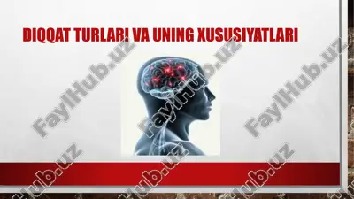 diqqat turlari va uning xususiyatlari — ZIP