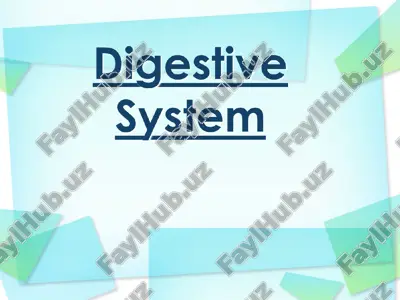 digestive system — PPT