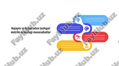 hujayra va hujayradan tashqari, matriks orasidagi munosabatlar — ZIP