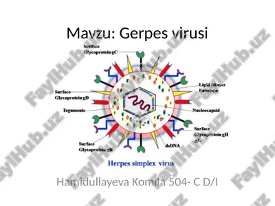 gerpesvirusi — PPTX
