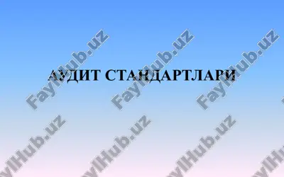 audit standartlari — ZIP