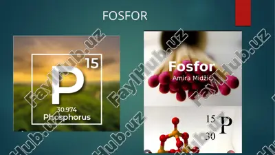 fosfor — ZIP