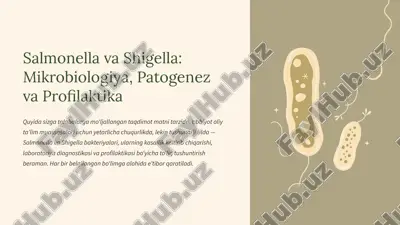 salmonella va shigella: mikrobiologiya, patogenez va profilaktika — PPTX