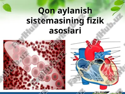 qon aylanish sistemasining fizik asoslari — PPT