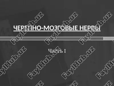 че́репно-мозговы́е не́рвы — PPTX