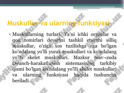 muskullar va ularning funksiyasi — ZIP