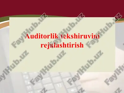 auditorlik tekshiruvini rejalashtirish — ZIP