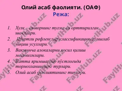 олий асаб фаолияти (оаф) — ZIP