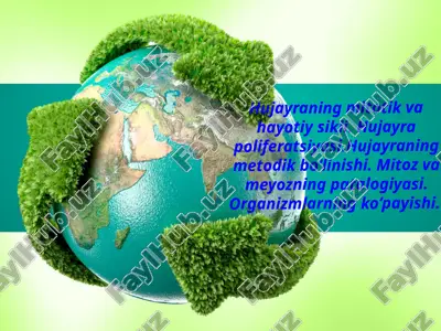 hujayraning mitotik va hayotiy sikli — PPTX