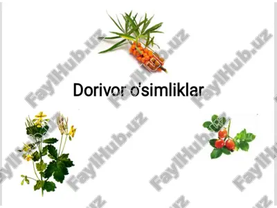dorivor o'simliklar — PPTX