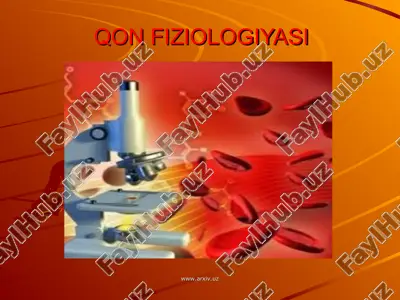qon fiziologiyasi — ZIP
