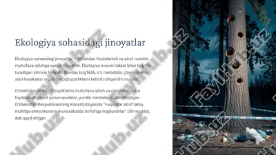 ekologiya sohasidagi jinoyatlar — ZIP