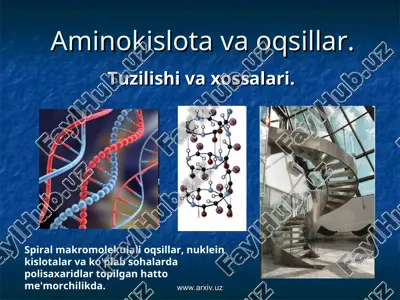aminokislota va oqsillar — ZIP