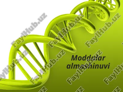 moddalar almashinuvi — PPTX