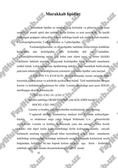 murakkab lipidlar — ZIP