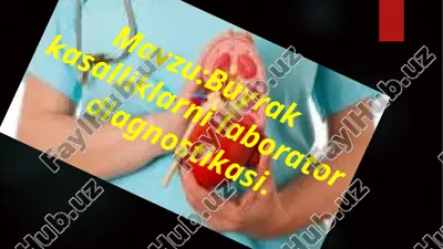 buyrak  kasalliklarni laborator diagnostikasi. — ZIP