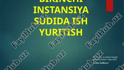 birinchi instansiya sudida ish yuritish — ZIP