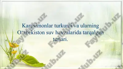 karpsimonlar — PPTX