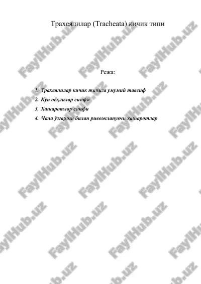 трахеялилар (tracheata) кичик типи — ZIP