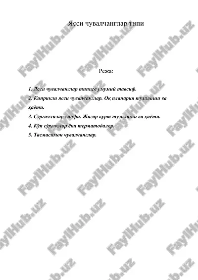 ясси чувалчанглар типи — ZIP