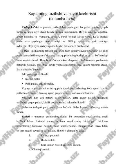 kaptarning tuzilishi va hayot kechirishi — ZIP
