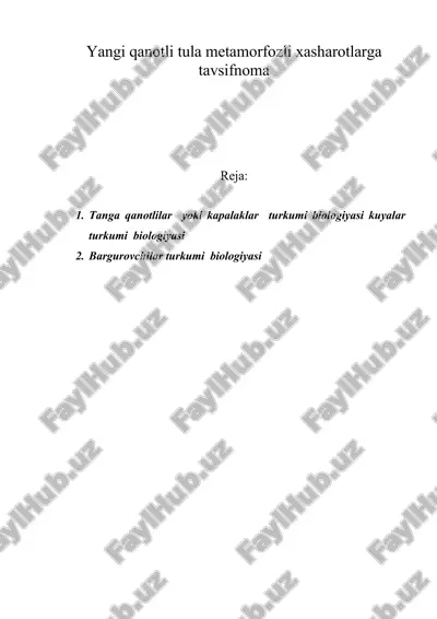yangi qanotli tula metamorfozli xasharotlarga tavsifnoma — ZIP