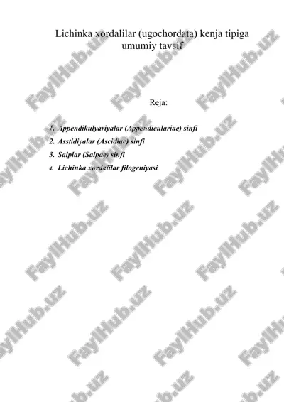 lichinka xordalilar (ugochordata) kenja tipiga umumiy tavsif — ZIP