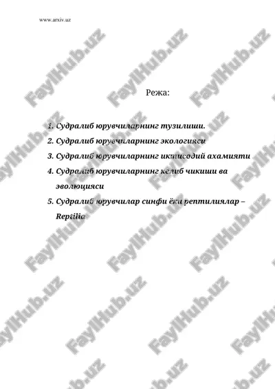судралиб юрувчиларнинг тузилиши — ZIP
