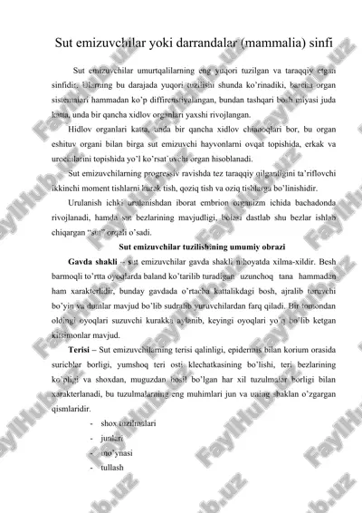 sut emizuvchilar yoki darrandalar (mammalia) sinfi — ZIP
