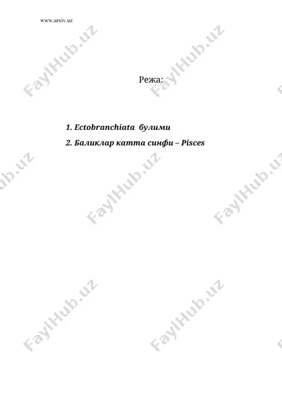 жагогизлилар – gnathostomata ёки ташки жабралилар — DOC