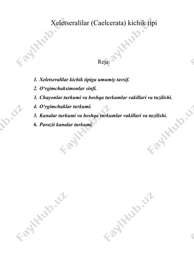 xeletseralilar (caelcerata) kichik tipi — DOC