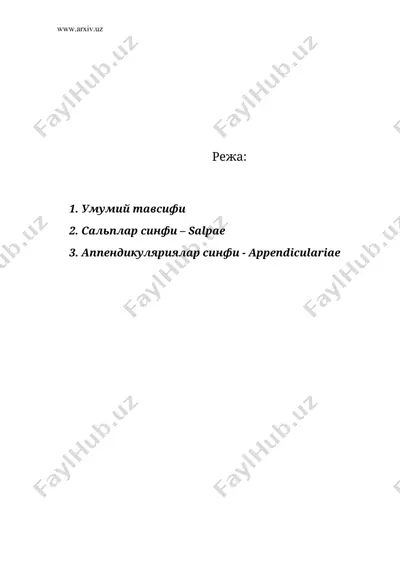 личинка хордалилар (urochordata) кенжа типи ёки пардалилар (tunicata) кенжа типи — DOC