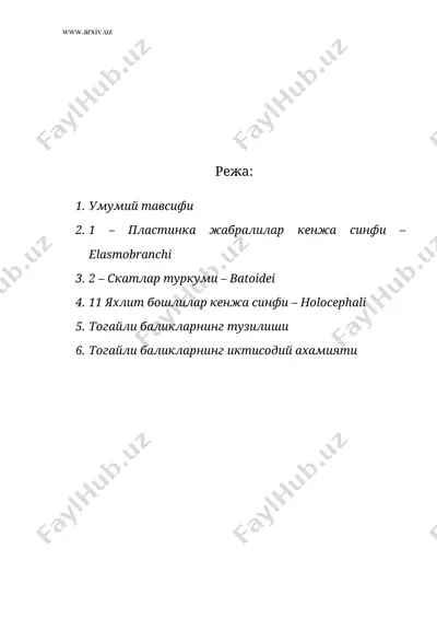 тогайли баликлар синфи – chondrichthyes — DOC