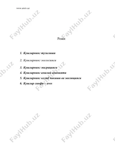 кушларнинг тузилиши — DOC
