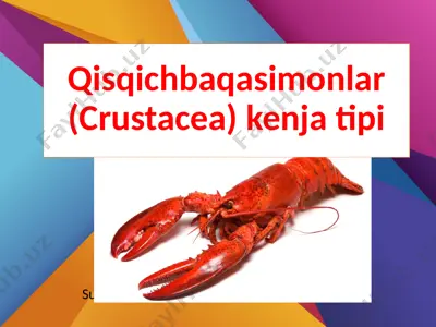 qisqichbaqasimonlar (crustacea) kenja tipi — PPTX