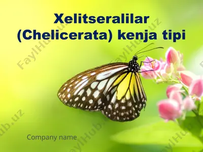 xelitseralilar (chelicerata) kenja tipi — PPTX