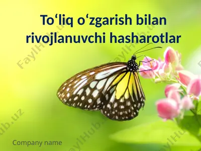 to‘liq o‘zgarish bilan rivojlanuvchi hasharotlar — PPTX