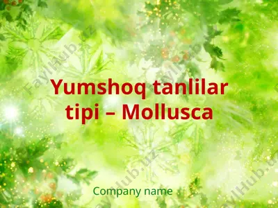yumshoq tanlilar tipi – mollusca — PPTX