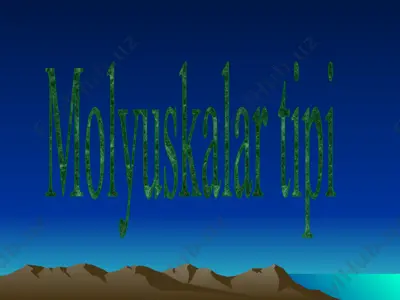 molyuskalar tipi (slayd test) — PPTX
