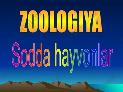 sodda hayvonlar (slayd test) — PPTX