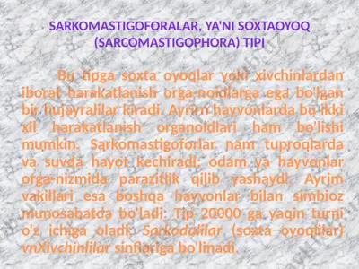 sarkomastigoforalar, ya'ni soxtaoyoq (sarcomastigophora) tipi — PPTX