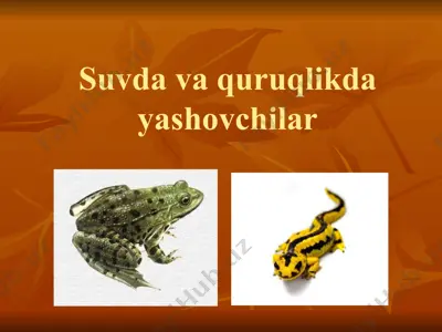suvda va quruqlikda yashovchilar — PPTX
