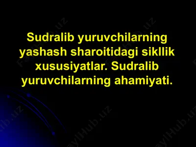 sudralib yuruvchilarning yashash sharoitidagi sikllik xususiyatlar — ZIP