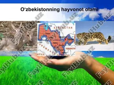 o‘zbekistonning hayvonot olami — ZIP