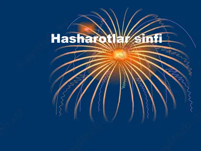 hasharotlar sinfi — ZIP