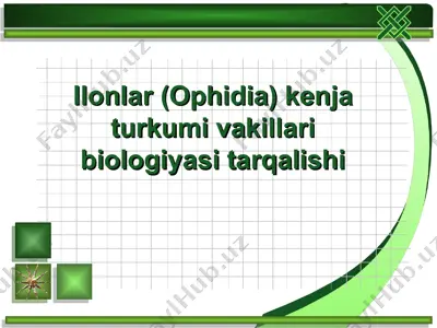 ilonlar (ophidia) kenja turkumi vakillari biologiyasi tarqalishi — ZIP