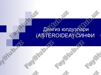 денгиз юлдузлари (asteroidea) синфи — ZIP